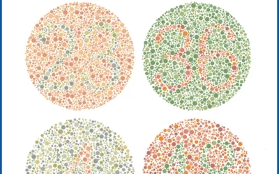 Daltonizm a prawo jazdy — wszystko, co musisz wiedzieć